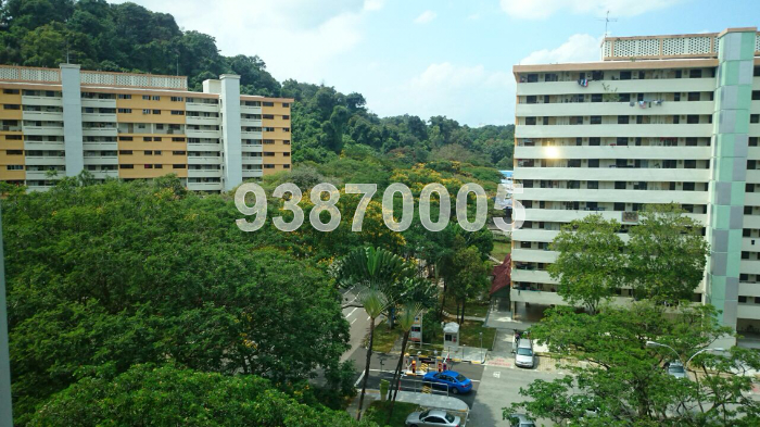 Telok Blangah Rise thumbnail photo